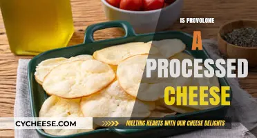 Is Provolone Processed Cheese? Uncovering the Truth Behind This Classic