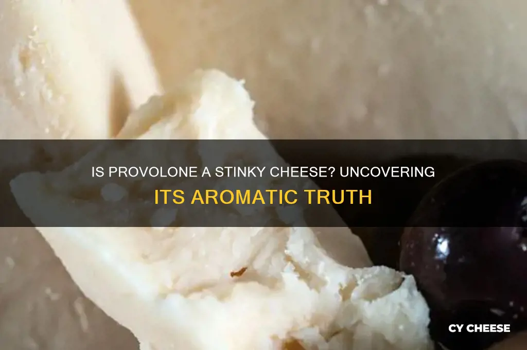 is provolone a stinky cheese