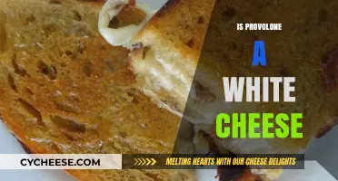 Is Provolone a White Cheese? Unraveling the Dairy Dilemma