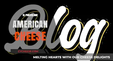 Is Provolone American Cheese? Debunking the Dairy Dilemma