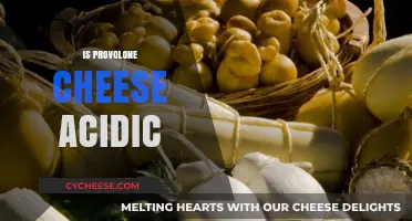 Is Provolone Cheese Acidic? Uncovering Its pH Level and Health Impact