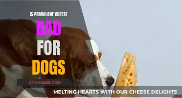 Provolone Cheese: Safe or Harmful to Dogs?