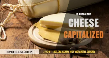 Is Provolone Cheese Capitalized? Unraveling the Grammar Mystery