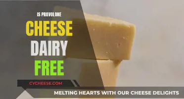 Provolone Cheese: Is It Dairy-Free or Not?