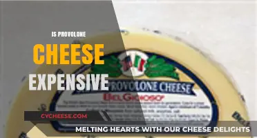 Is Provolone Cheese Expensive? Exploring Costs and Value