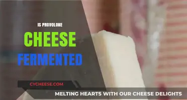 Is Provolone Cheese Fermented? Unraveling the Aging Process