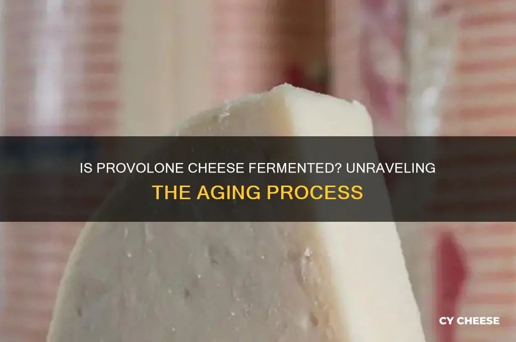 is provolone cheese fermented