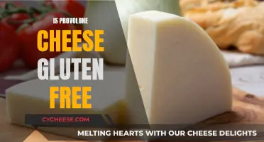 Provolone Cheese: A Gluten-Free Option?