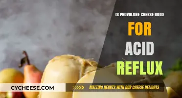 Provolone Cheese and Acid Reflux: A Healthy Choice or Trigger?