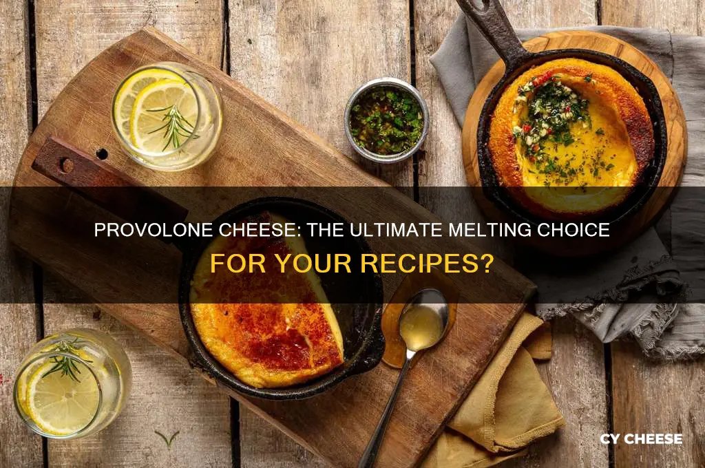 is provolone cheese good for melting