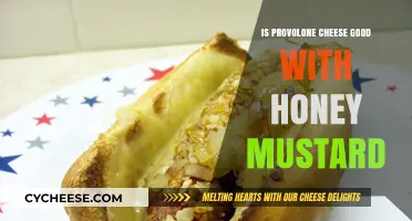 Provolone Cheese and Honey Mustard: A Flavor Match Made in Heaven?