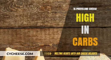 Provolone Cheese: Carb-Friendly or Carb-Heavy?