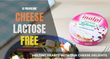 Provolone Cheese: Lactose-Free Superfood?
