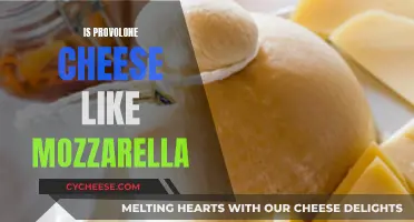 Provolone and Mozzarella: What's the Difference?