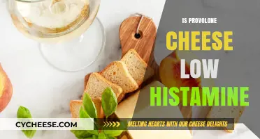 Is Provolone Cheese Low Histamine? A Dietary Guide for Sensitivity