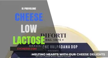 Is Provolone Cheese Low Lactose? A Digestive-Friendly Option?