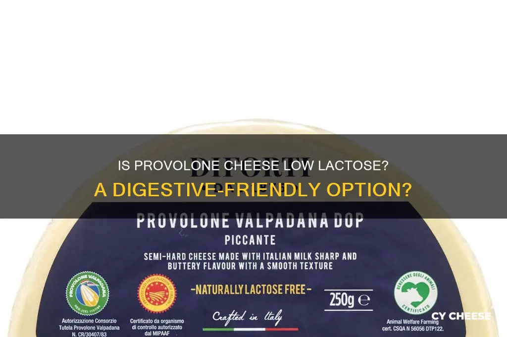 is provolone cheese low lactose