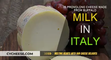 Provolone's Origin: Buffalo Milk or Not? Italian Cheese Mystery