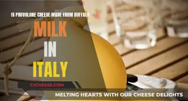 Provolone Cheese: Buffalo Milk's Italian Transformation