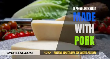 Provolone Cheese: Pork-Based or Not?