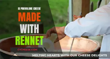 Provolone Cheese and Rennet: What's the Connection?