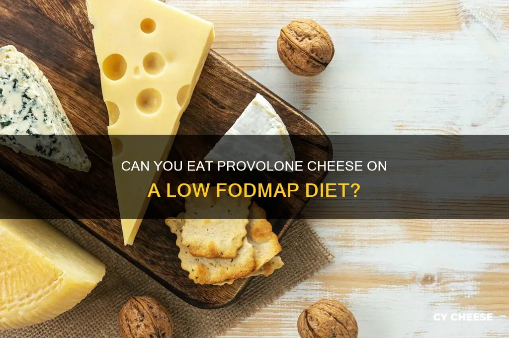 is provolone cheese ok on a low fodmap diet