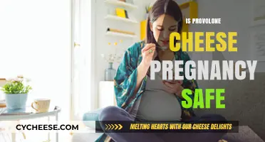 Provolone Cheese During Pregnancy: Safe or Risky Choice?