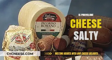 Is Provolone Cheese Salty? Exploring Its Flavor Profile and Uses