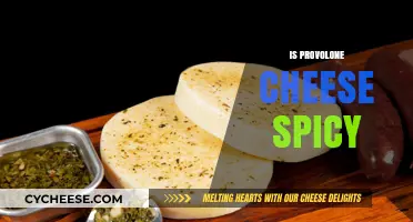 Is Provolone Cheese Spicy? Unraveling the Flavor Mystery