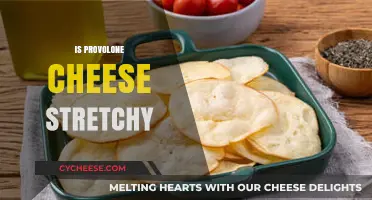 Is Provolone Cheese Stretchy? Exploring Its Texture and Melting Qualities