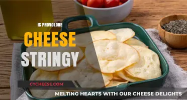 Is Provolone Cheese Stringy? Exploring Its Melty, Stretchy Texture