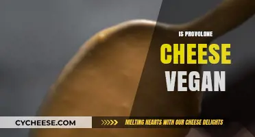 Is Provolone Cheese Vegan? Unraveling the Dairy-Free Dilemma