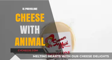 Is Provolone Cheese Animal-Derived? Exploring Its Ingredients and Production