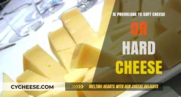 Is Provolone Soft or Hard Cheese? Understanding Its Texture and Uses