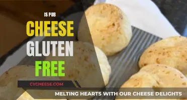 Gluten-Free Diet: Is Pub Cheese Safe to Eat?