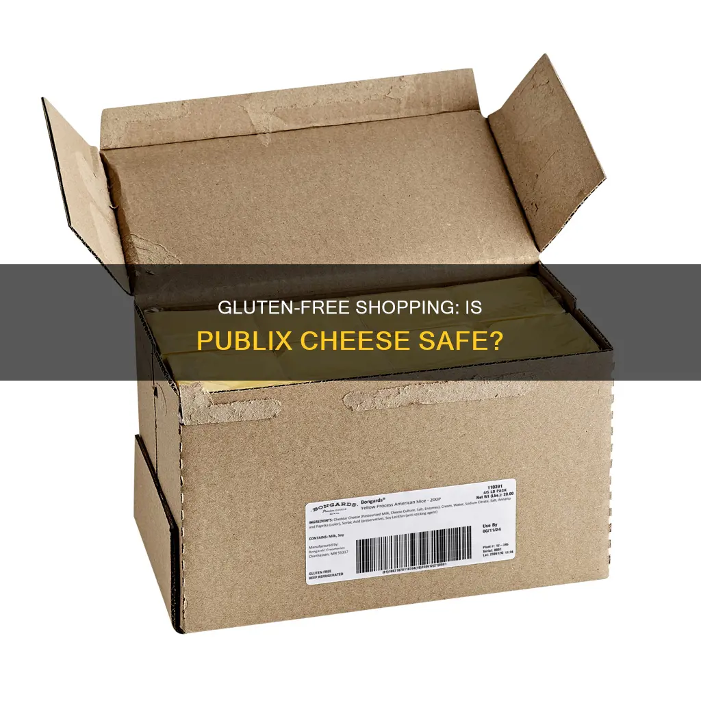 is publix american cheese gluten free
