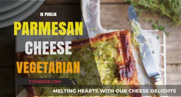 Publix Parmesan Cheese: Vegetarian or Not?