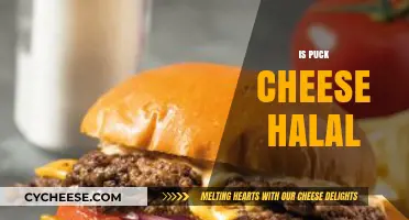 Is Puck Cheese Halal? Understanding Ingredients and Certification