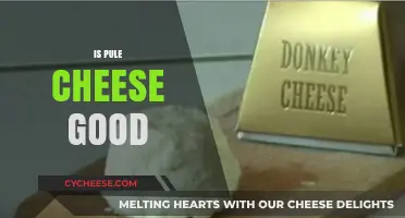 Is Pule Cheese Worth the Hype? A Tasty Exploration