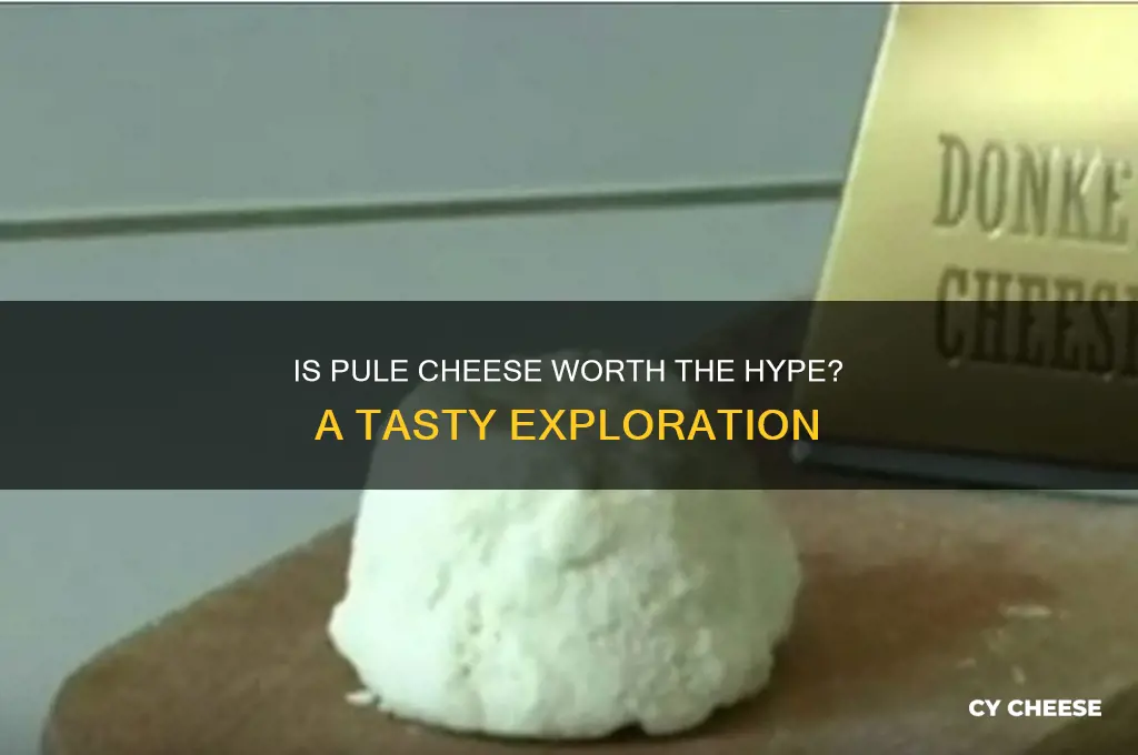 is pule cheese good