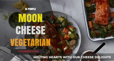 Is Purple Moon Cheese Vegetarian? Unraveling the Mystery Behind the Snack