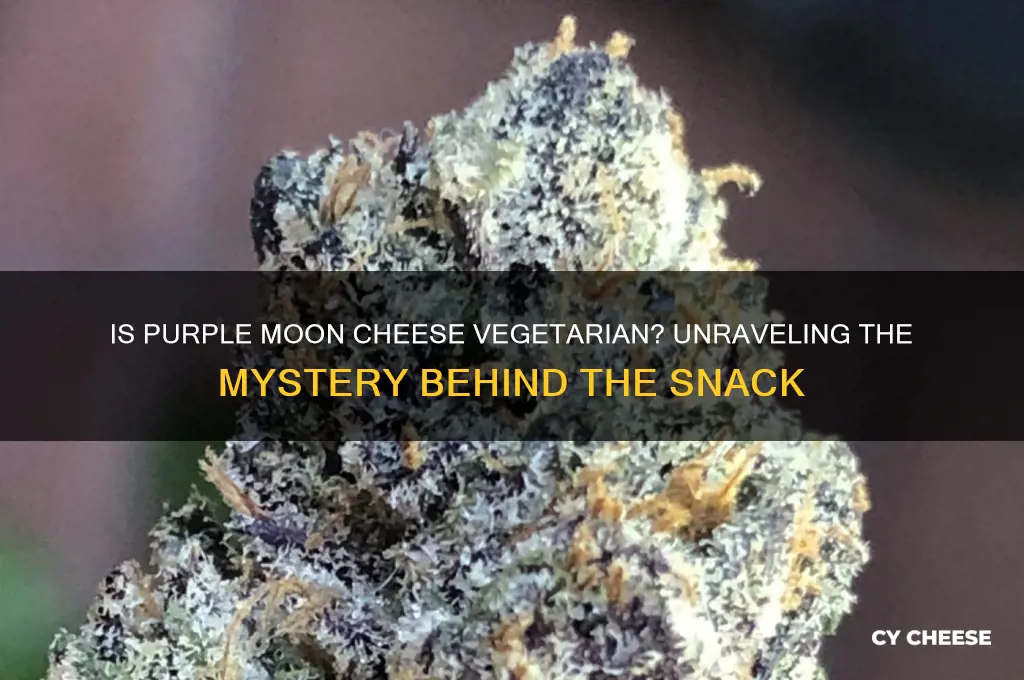 is purple moon cheese vegetarian
