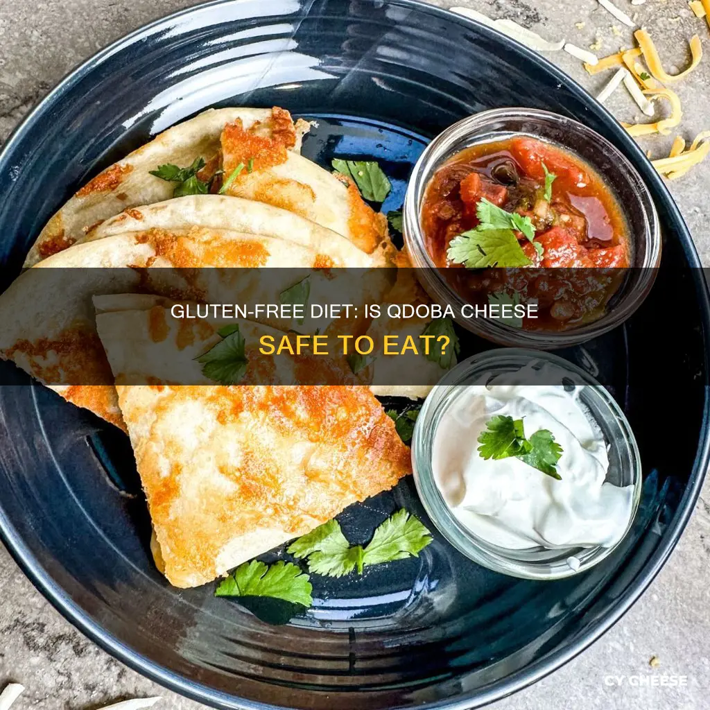 is qdoba cheese gluten free