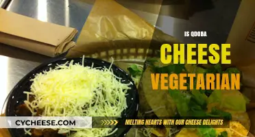 Is Qdoba Cheese Vegetarian? Uncovering the Truth for Veggie Lovers