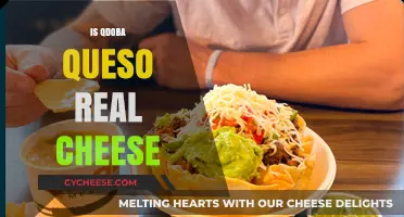 Is Qdoba Queso Real Cheese? Unraveling the Cheesy Mystery