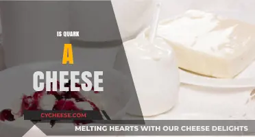Is Quark a Cheese? Unraveling the Dairy Mystery and Uses