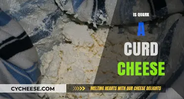 Is Quark a Curd Cheese? Exploring the Dairy Difference