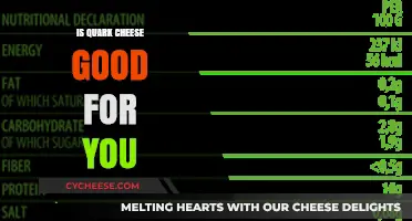 Is Quark Cheese Healthy? Nutrition Benefits and Potential Drawbacks