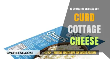 Quark vs. Dry Curd Cottage Cheese: Unraveling the Dairy Difference