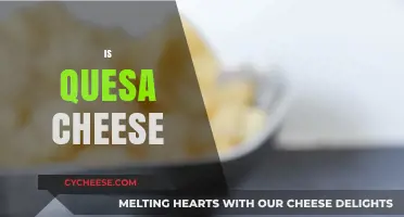 Is Queso Cheese? Unraveling the Mystery Behind This Popular Dip